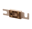 4021650 FUSE, 100A, 0.88 2.4L, 125VOLT alt 1