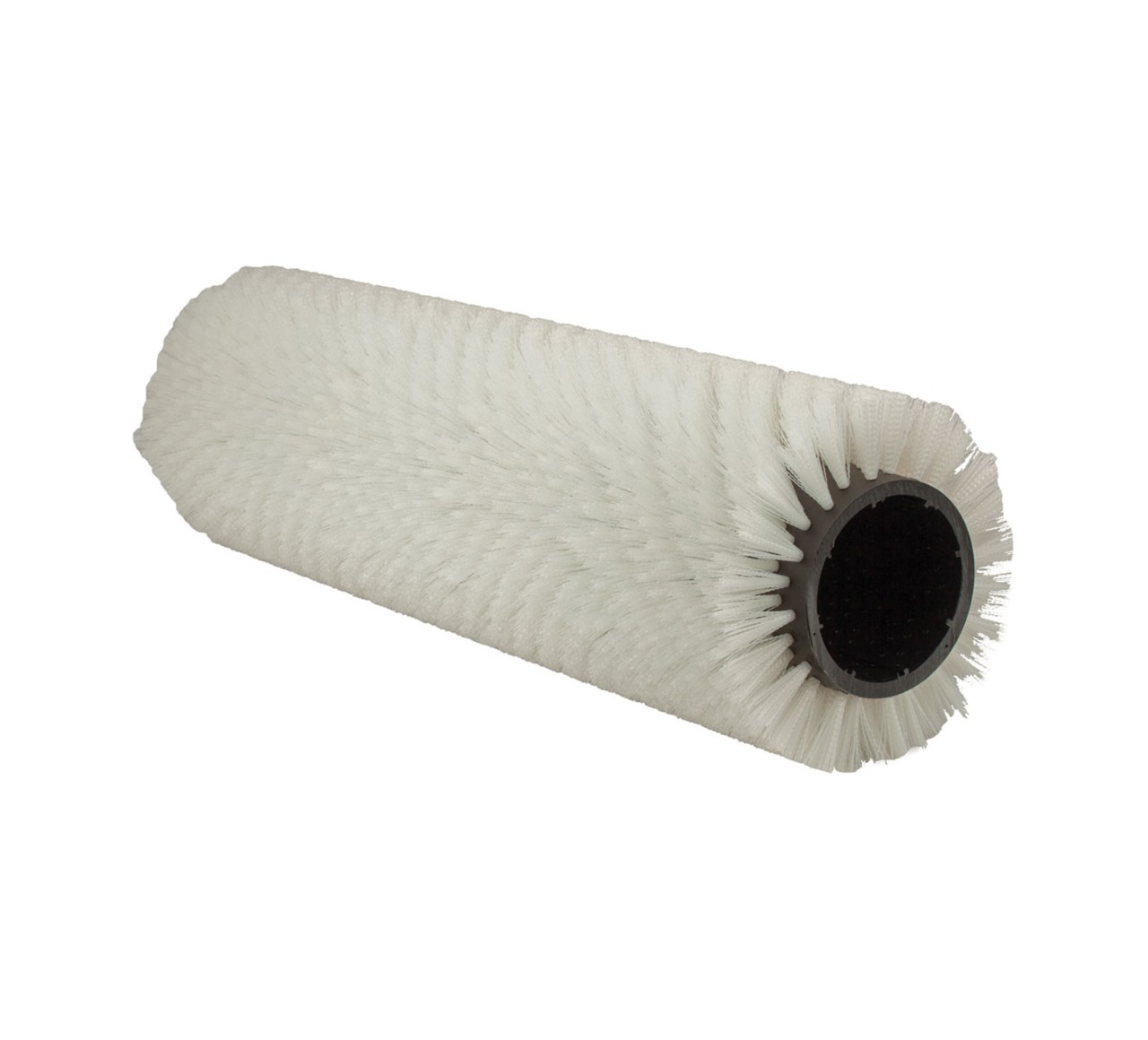 1027697 Spaz.spa/lav.cil.polies.24FS 40"-102cm alt 1
