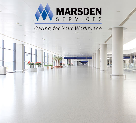 Étude de cas de la réussite de l'entreprise en démarrage Marsden South