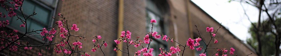 Lentebloemen op een school
